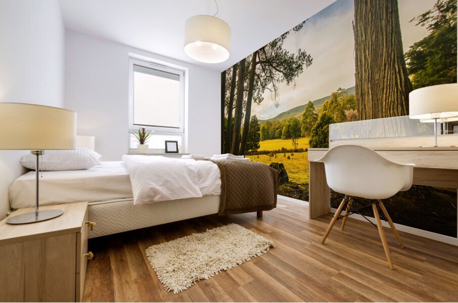 Vibrant autumn hillside Mural print