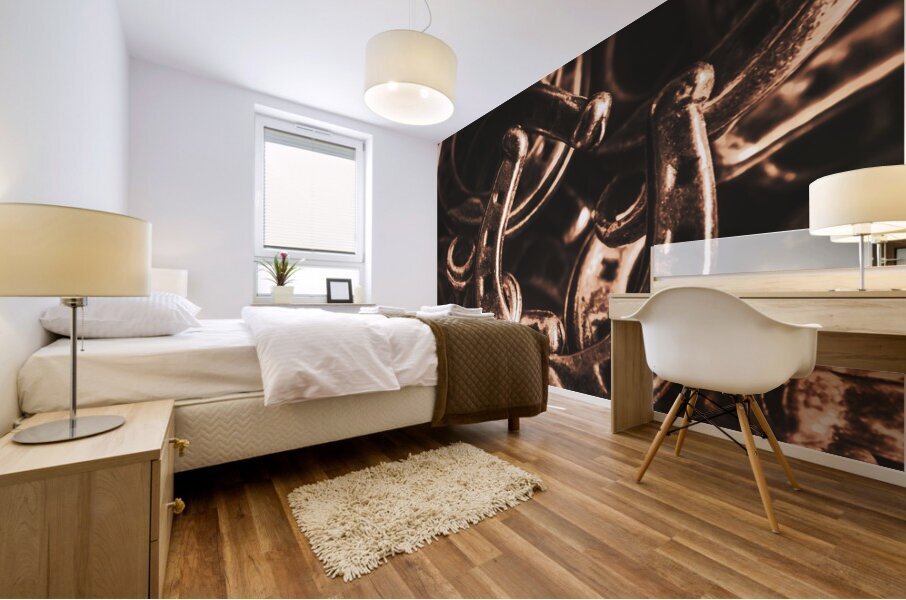 Rustic horse shoes Mural print