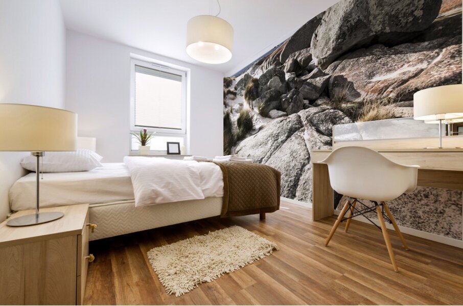 Stones throw away from the sea Mural print