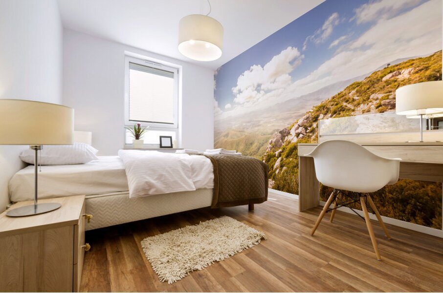 Vibrant hills and valleys Mural print