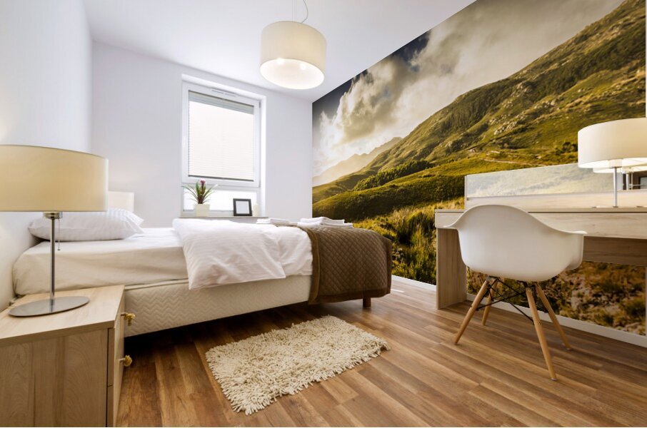 Amazing Australian Places. Trail Harbour Tasmania Mural print