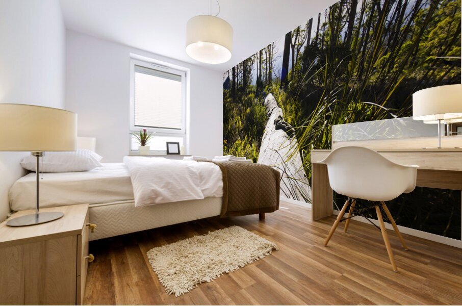 Explore tasmania Mural print