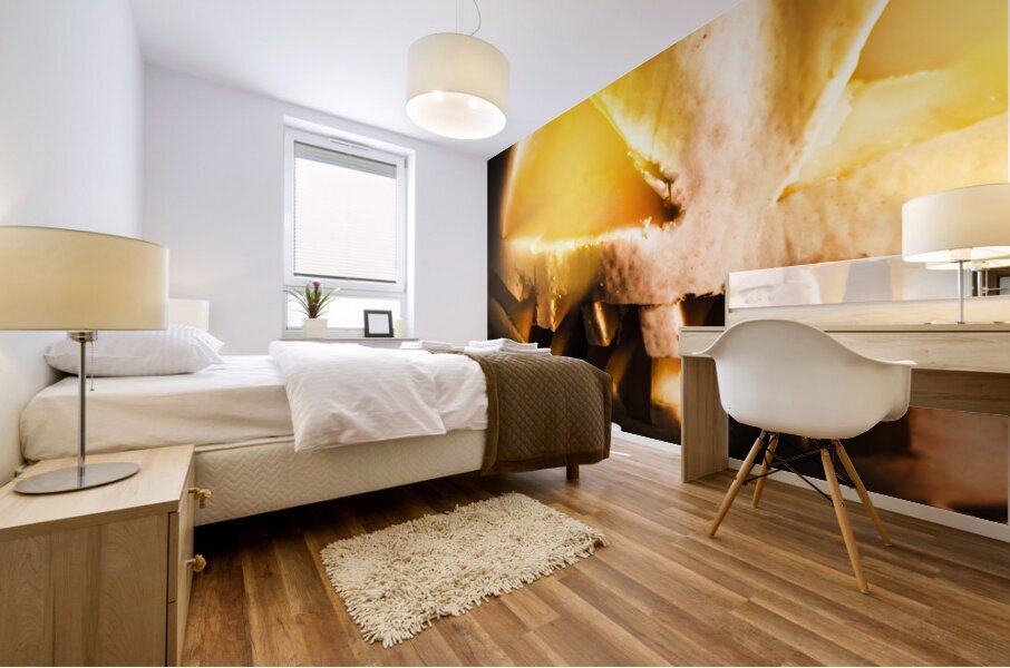 Spooky jack-o-lantern in darkness Mural print