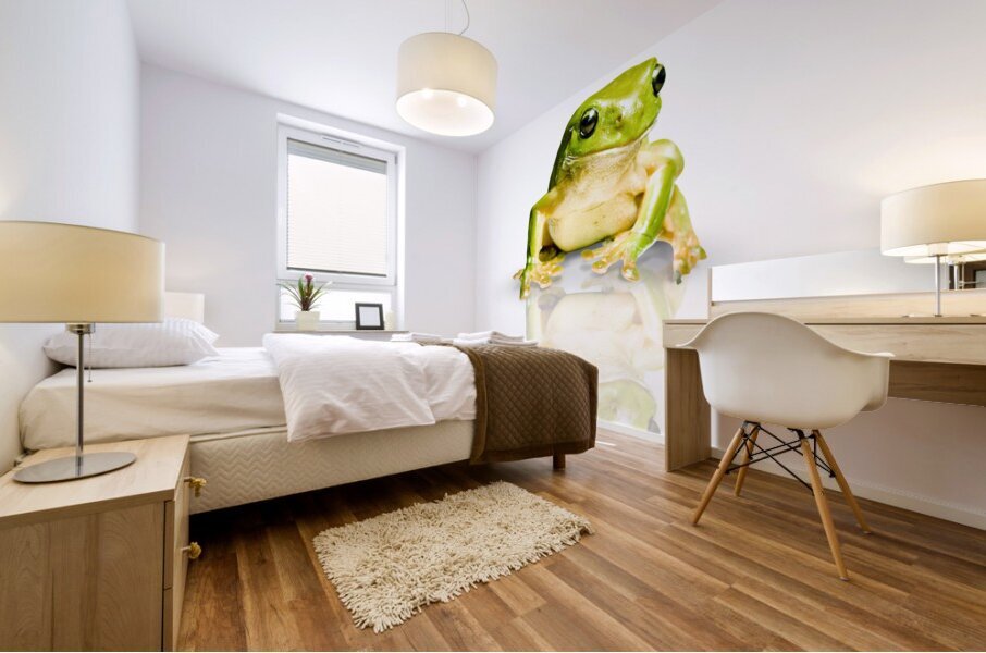 Green Tree Frog Mural print