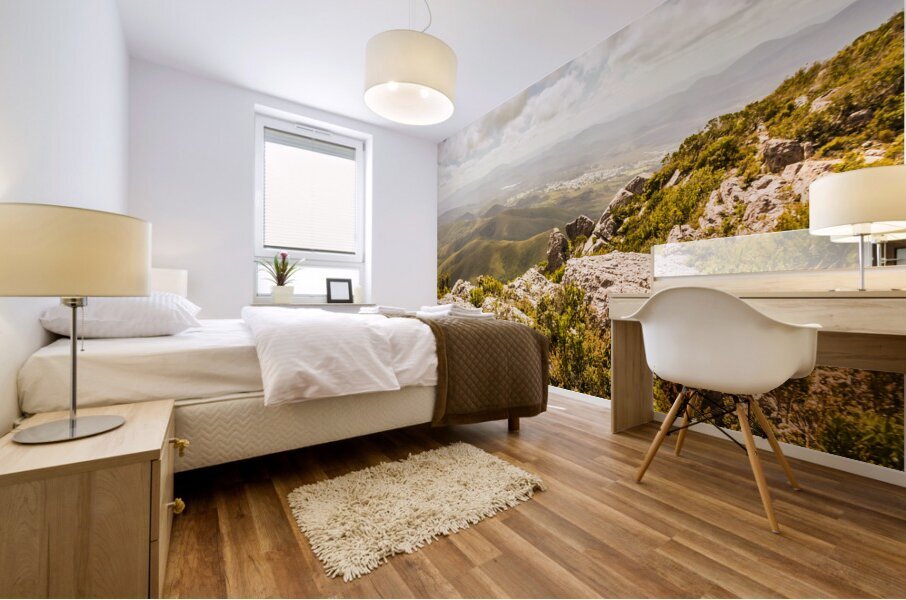 Rural town valley Mural print