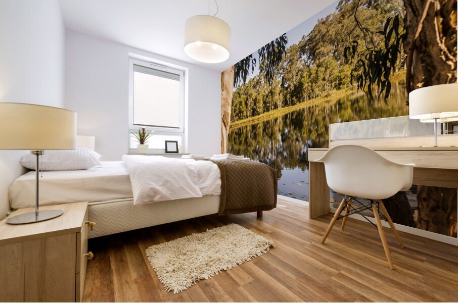 Framing stillness Mural print