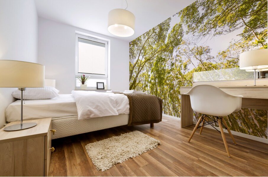 Open airs Mural print