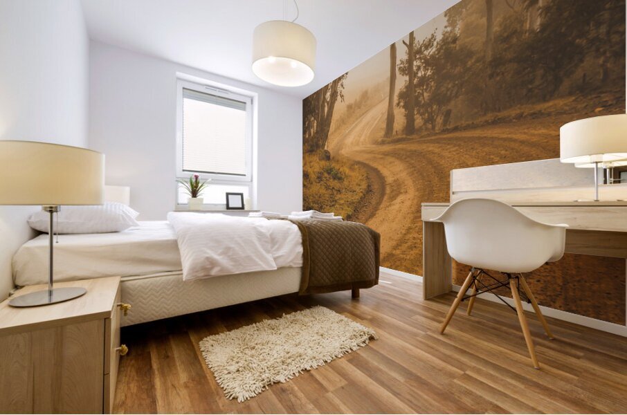 Peaceful Tasmania country road Mural print