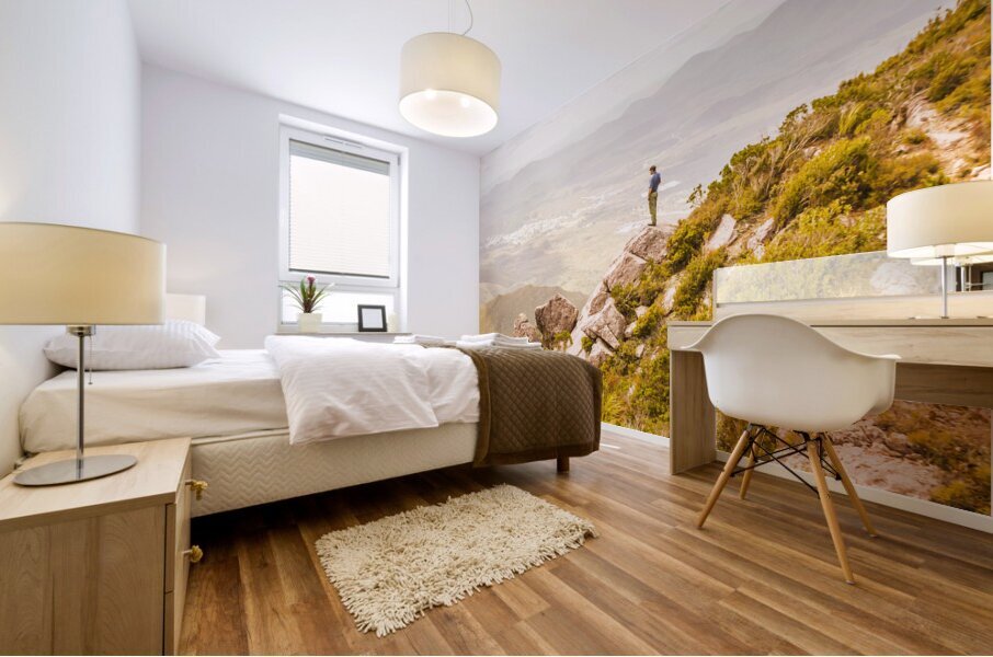 Views On West Coast Tasmania  Mural print