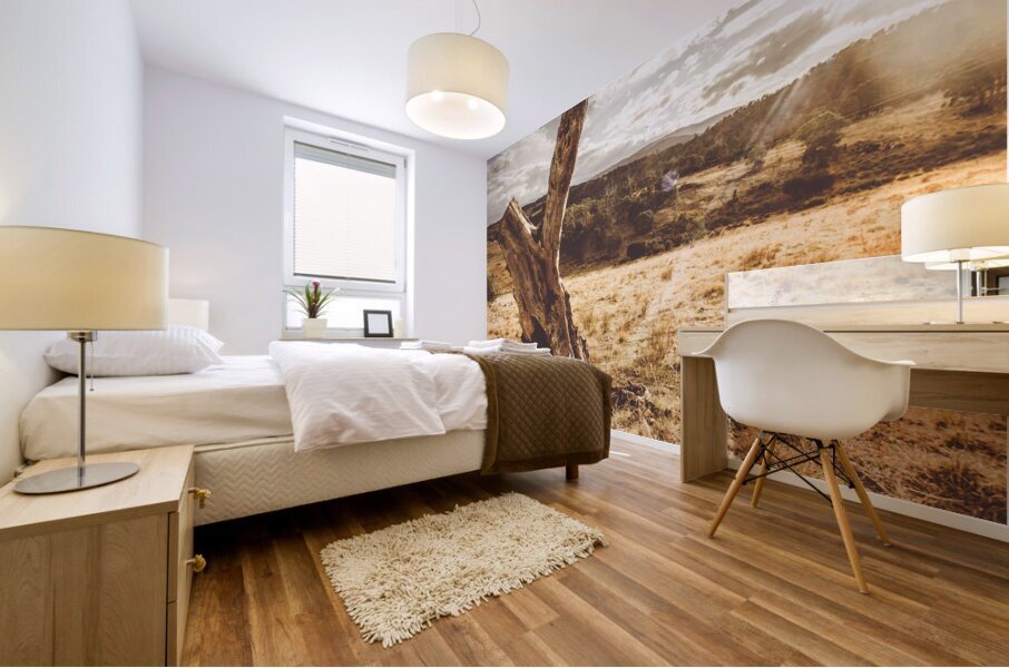 Arid Tasmania bush landscape Mural print