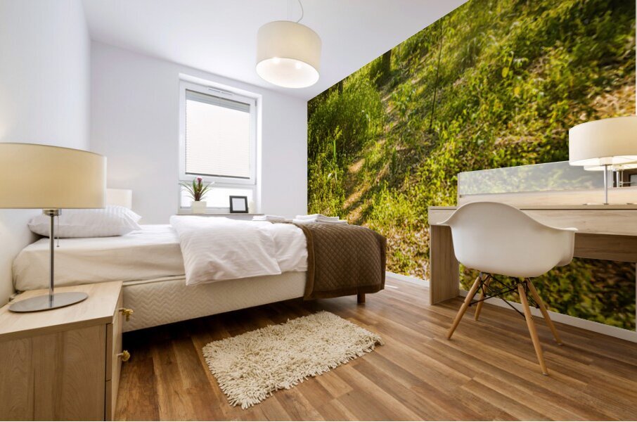 Forgotten forest Mural print