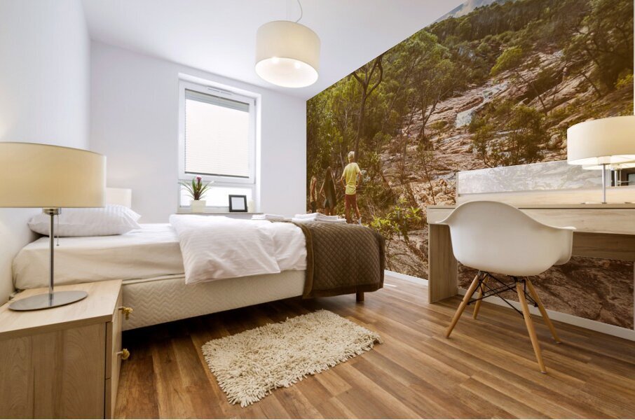 Waterfall outlook Mural print