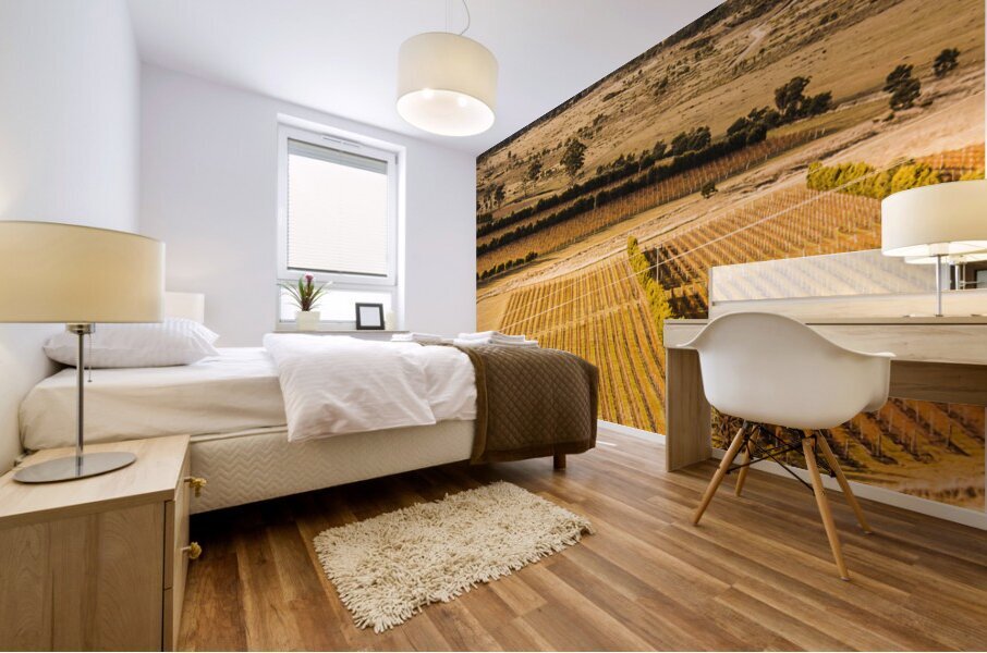 Vineyard harvest landscape Mural print