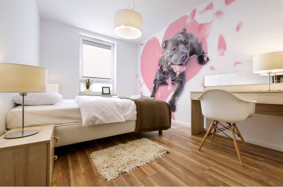 Dog with pink rose on heart shape background Mural print