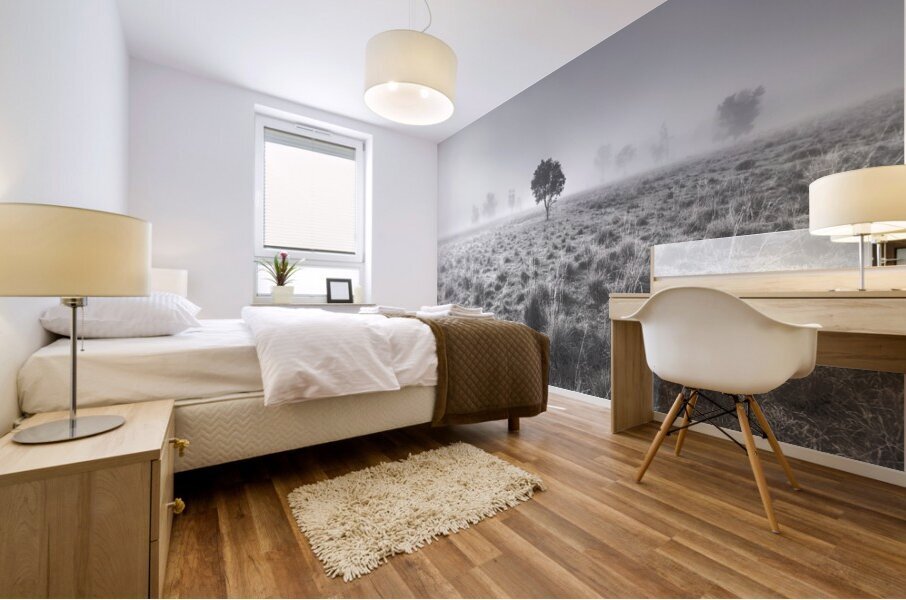 Wondrous misty background Mural print