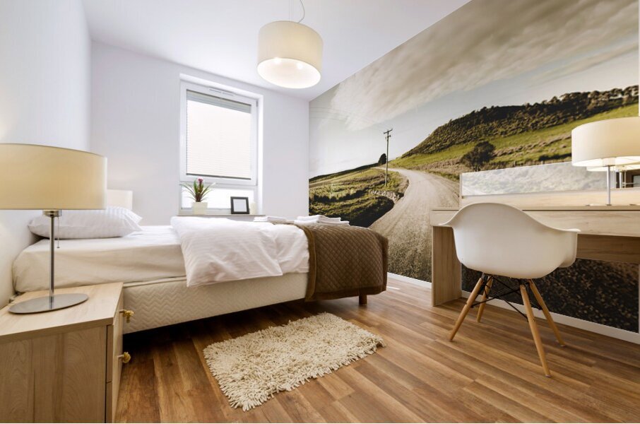 Australian rural road Mural print