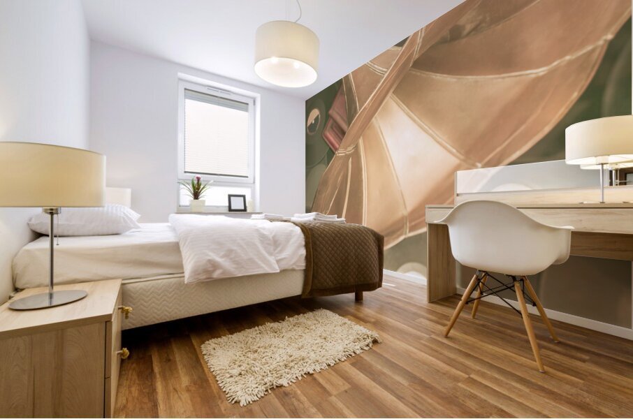 Old vinyl record gramophone Mural print