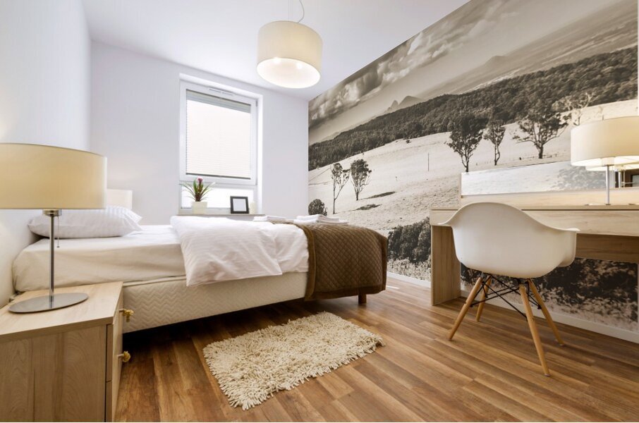 Pastoral plains Mural print