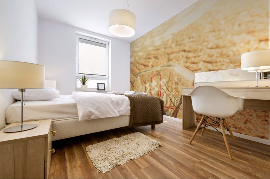 Seafaring scenes Mural print