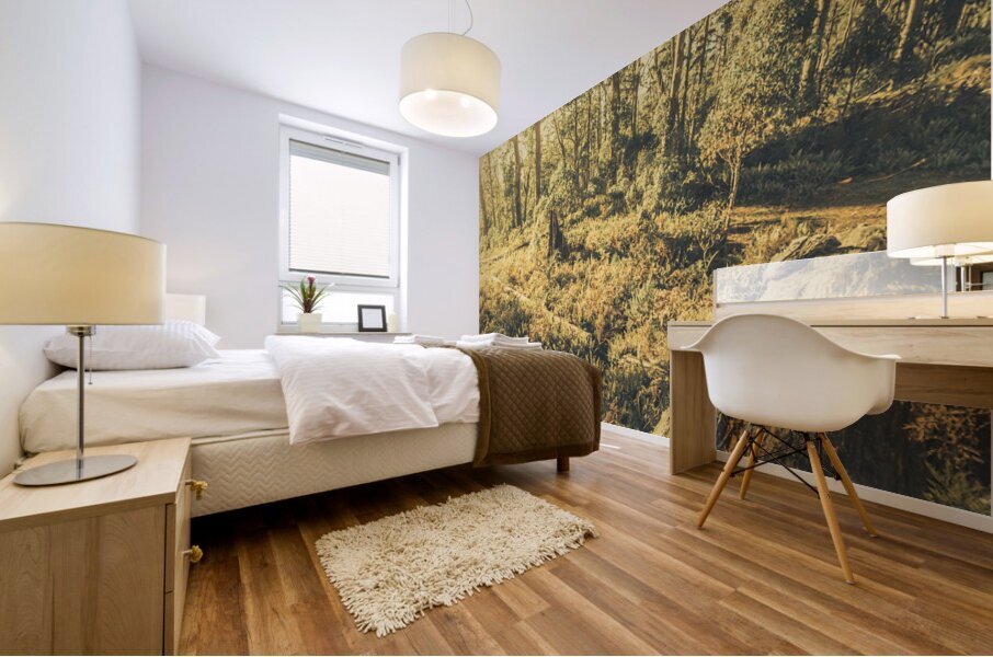 Tasmanian forest sunrise Mural print