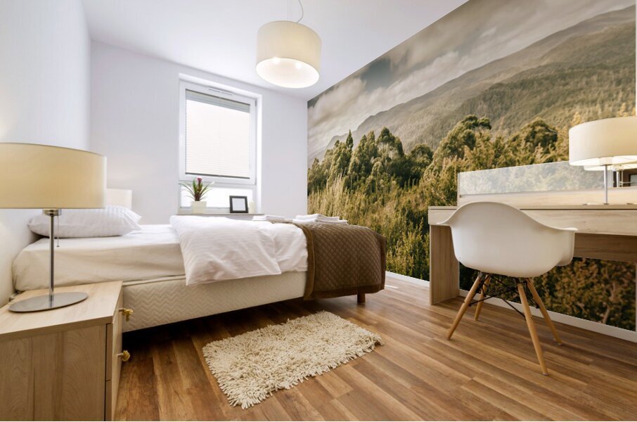 Savage River Lookout Tarkine Tasmania Mural print