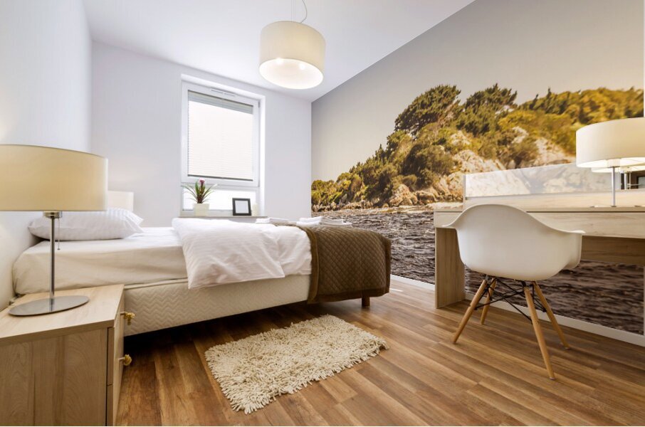 Entrance Island Lighthouse Hells Gates Mural print