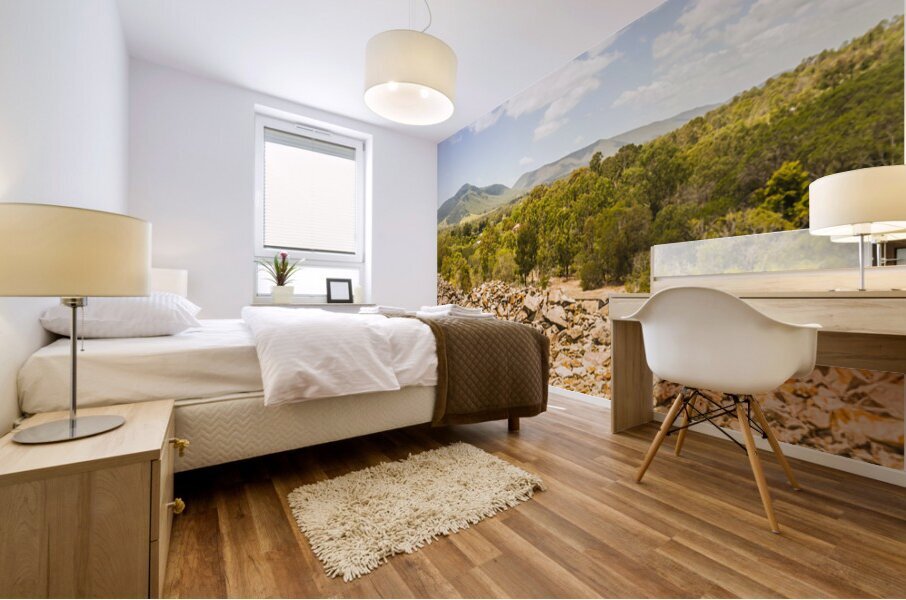 Mt Perry wide Mural print