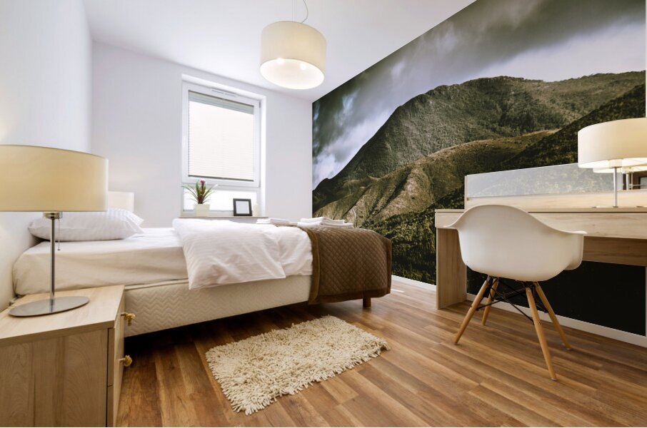 Mount Zeehan Tasmania Mural print