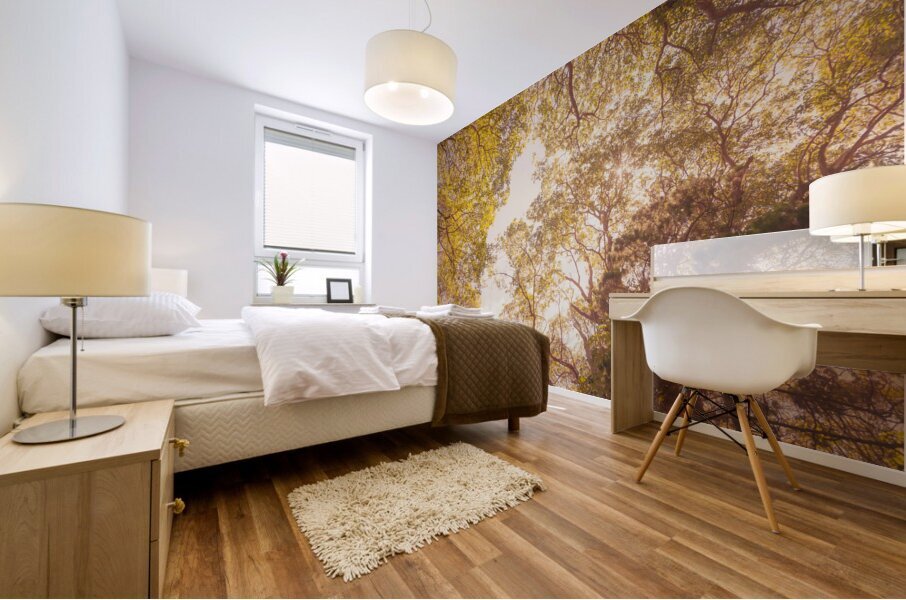 Beyond the pines Mural print