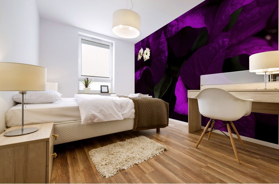 Dark Purple Bougainvillea Flowers Mural print