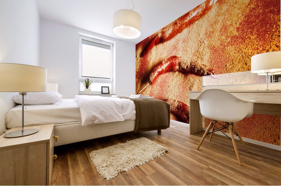 Indian food seasoning and spices Mural print