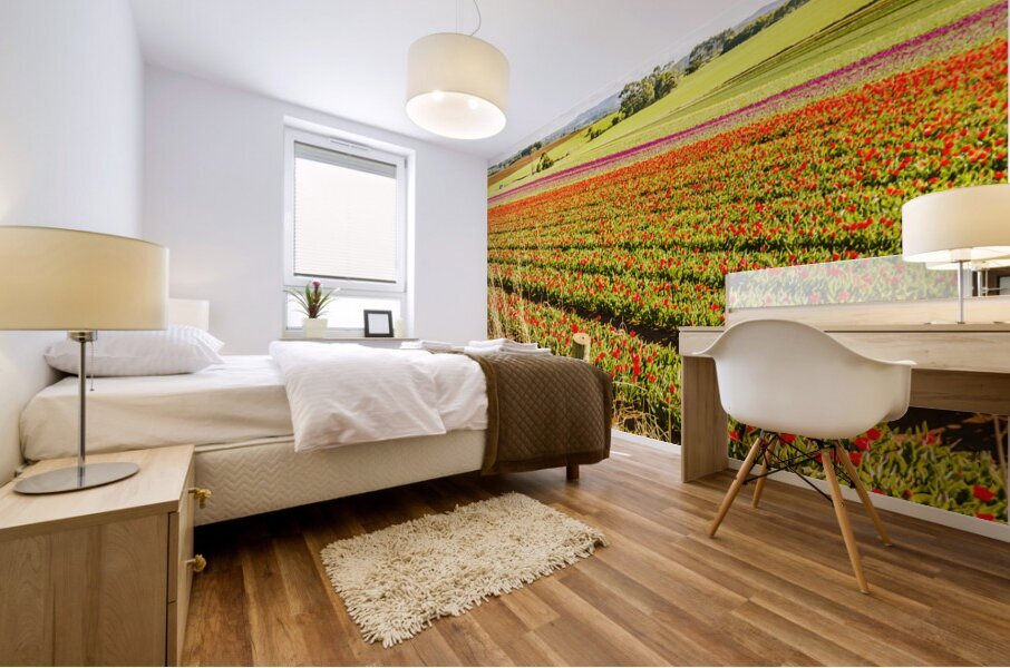 Wynyard Tulips Mural print