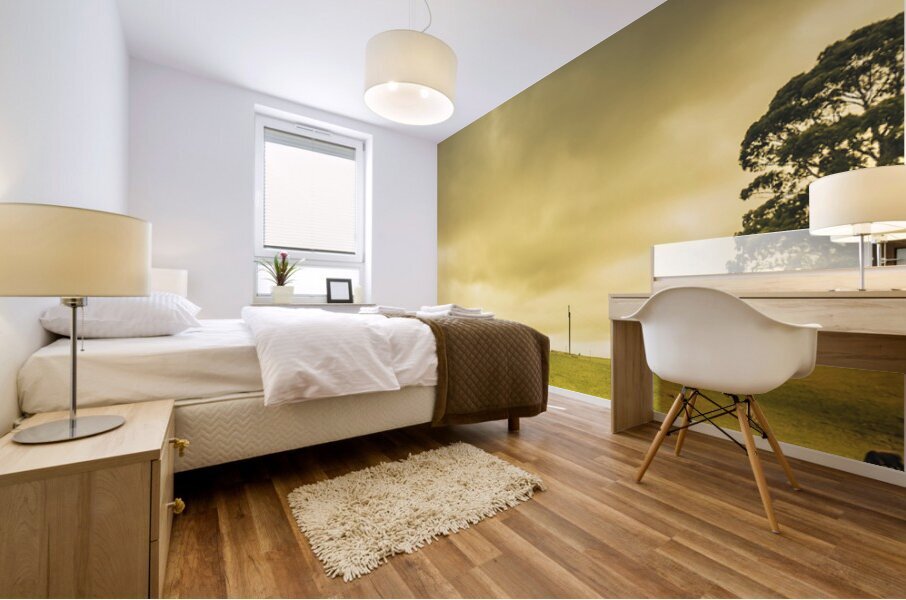 Overcast sky above herd of cows on pasture Mural print