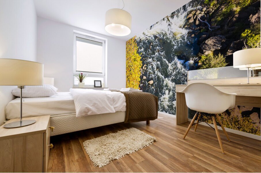 Gorge Bridge Mural print