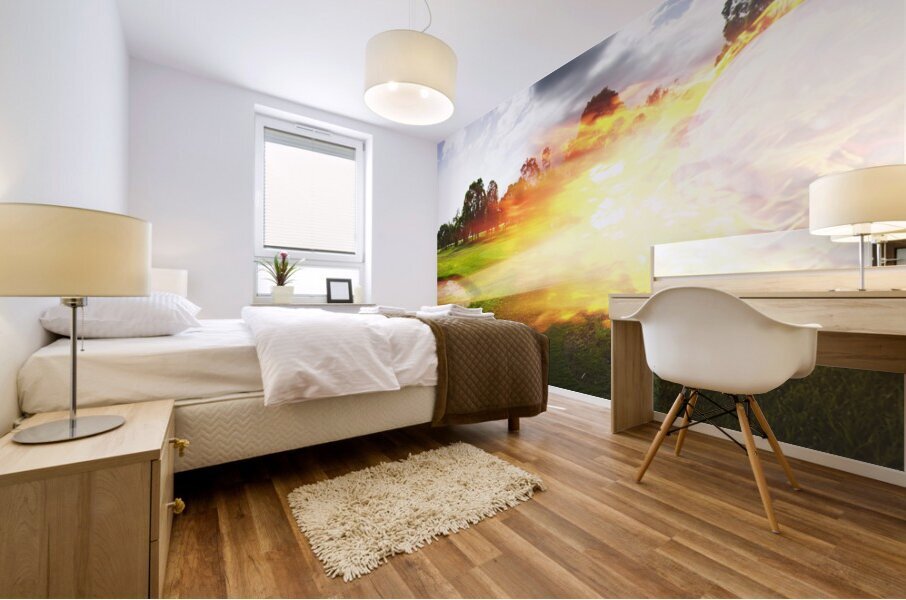 Golf Ball On Fire Mural print