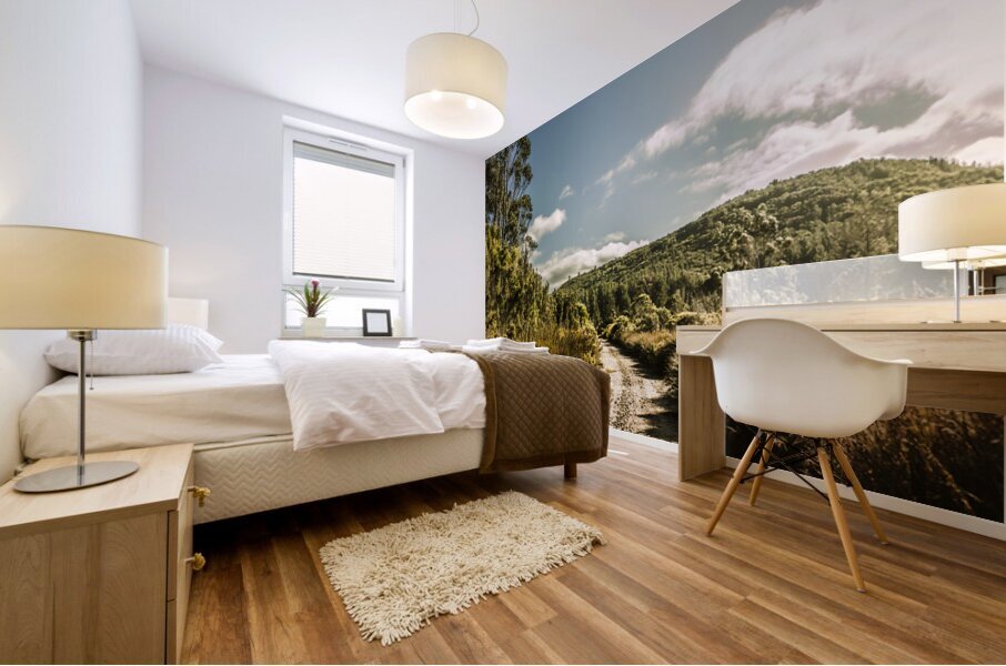 Outback country road panorama Mural print