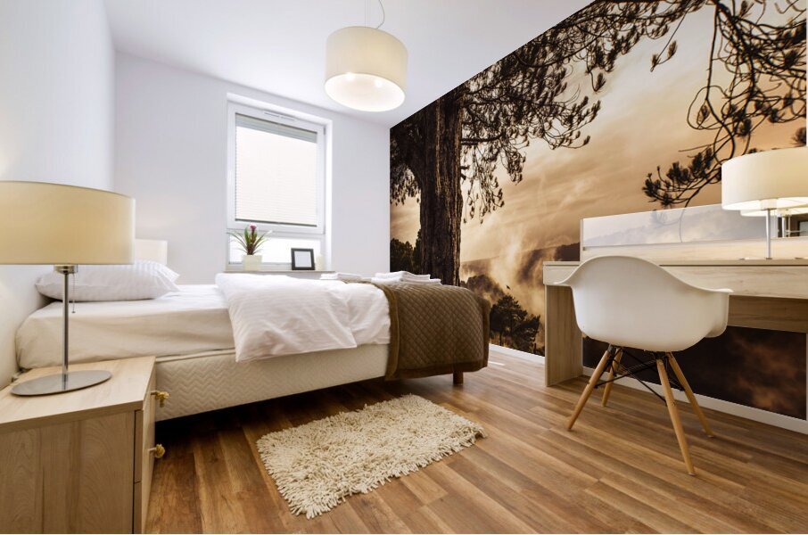 Beautiful autumn tree landscape in a serene park Mural print