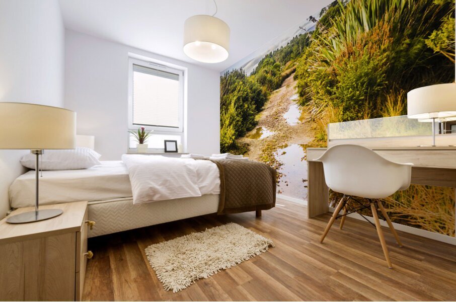 Scenic roads less travelled Mural print