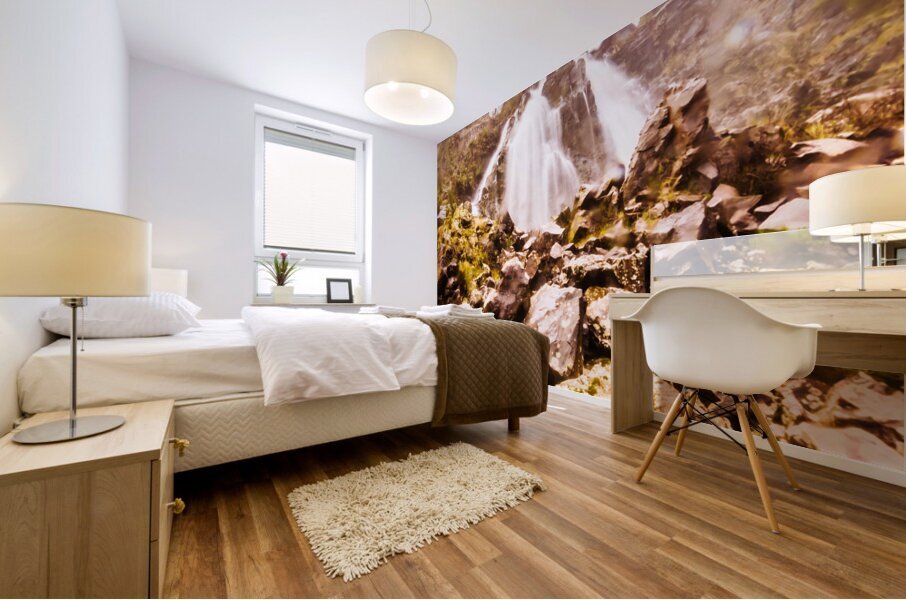 Rocky water wilderness Mural print