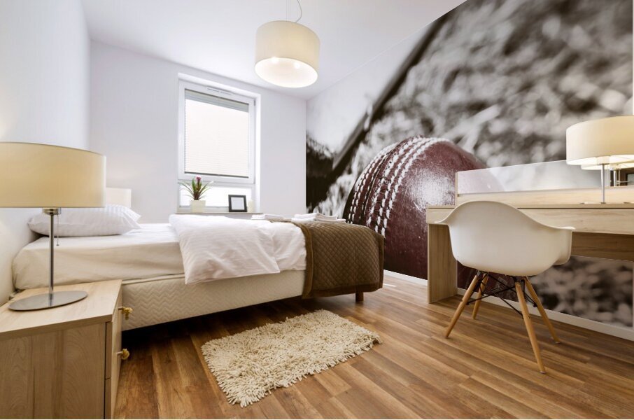 Vintage cricket Mural print