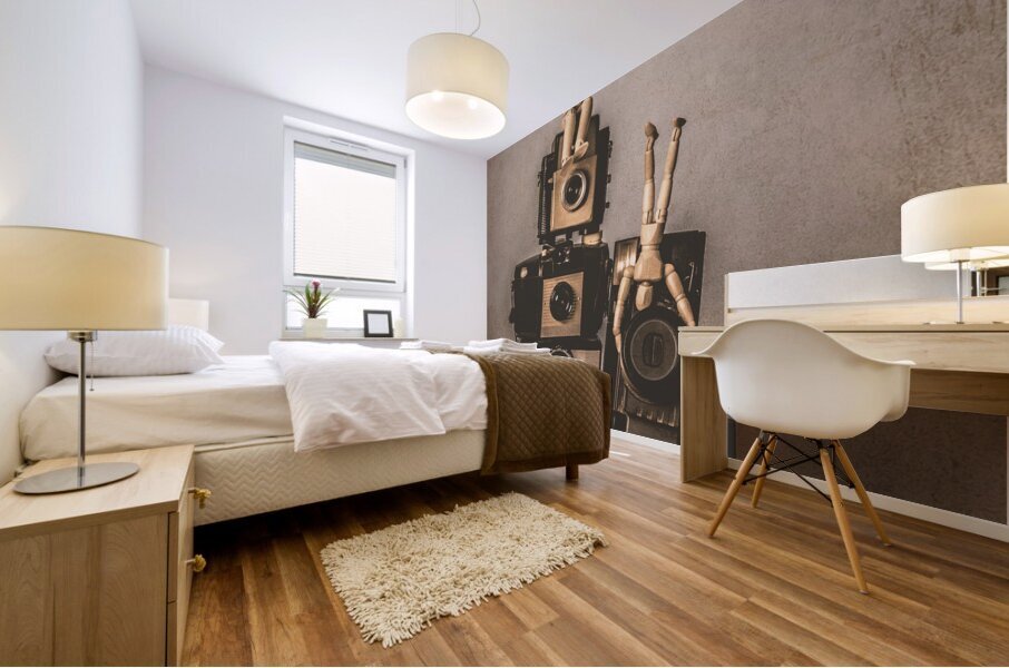 Before there was image stabilisation Mural print