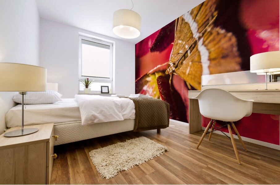 Wildlife wilderness Mural print