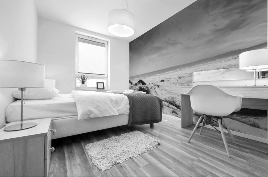 Dramatic sea dunes Mural print