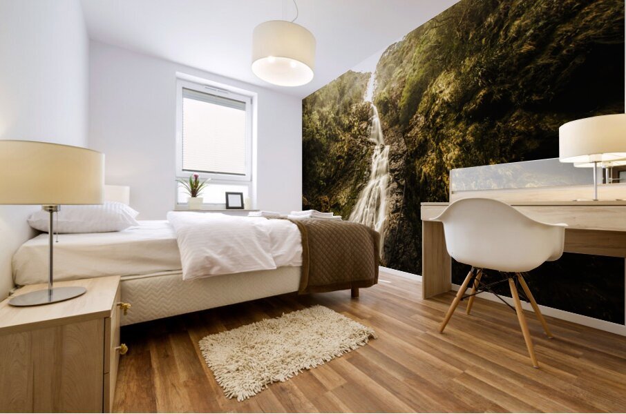 Montezuma Falls Tasmania Mural print