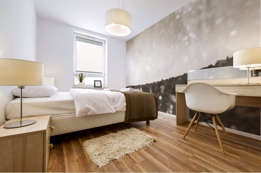 Windows and mountains Mural print