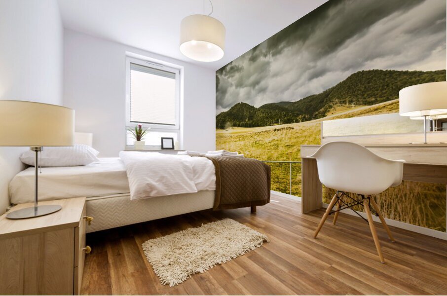 Storm covered winter farmland Mural print