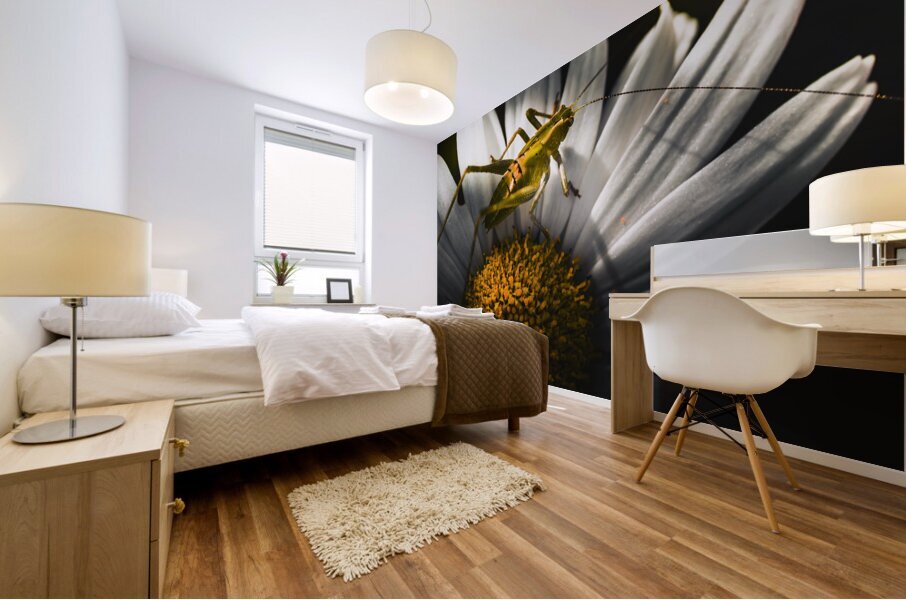 Australian grasshopper on flowers. Spring concept Mural print