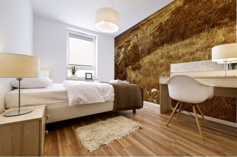 Afternoon storms Mural print