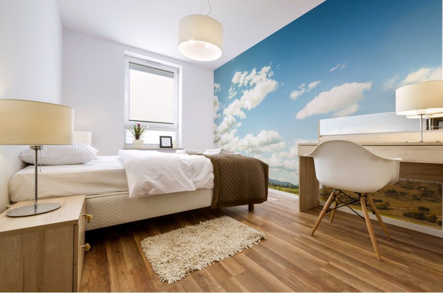 Vertical plains Mural print