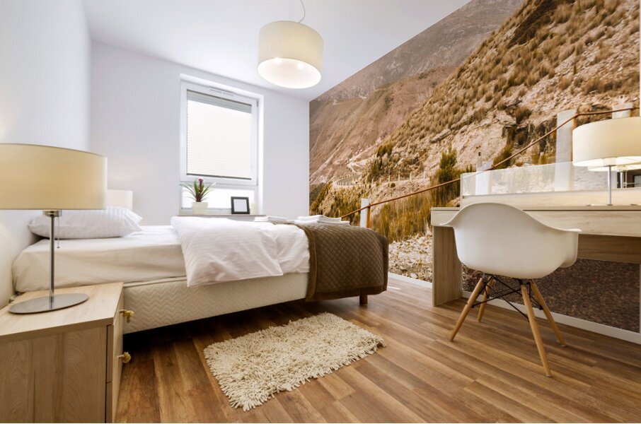 Road from the wild west Mural print